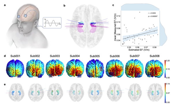 1739432748194805.jpg 1739432748194805.jpg