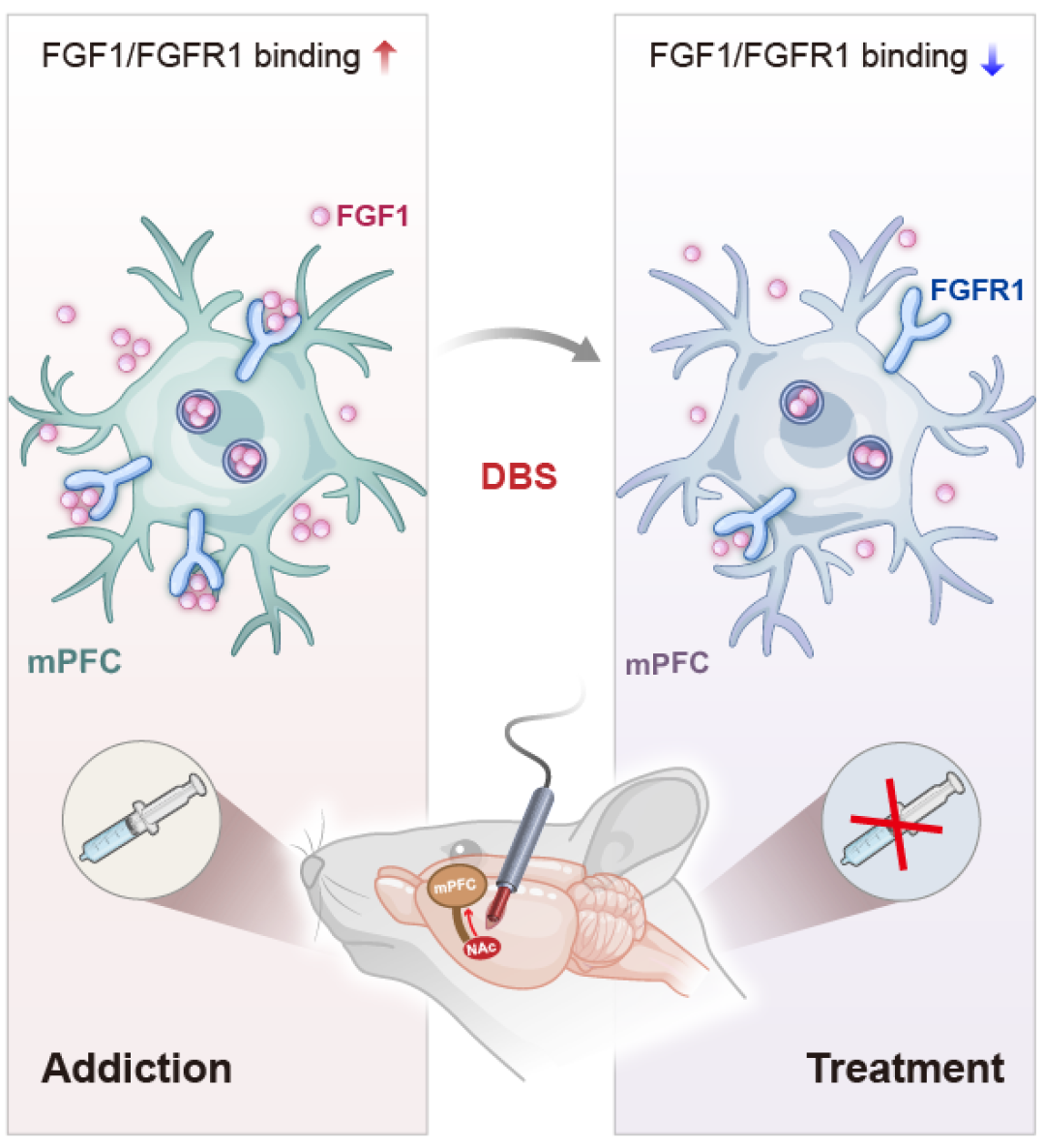 1741571630428673.png 1741571630428673.png